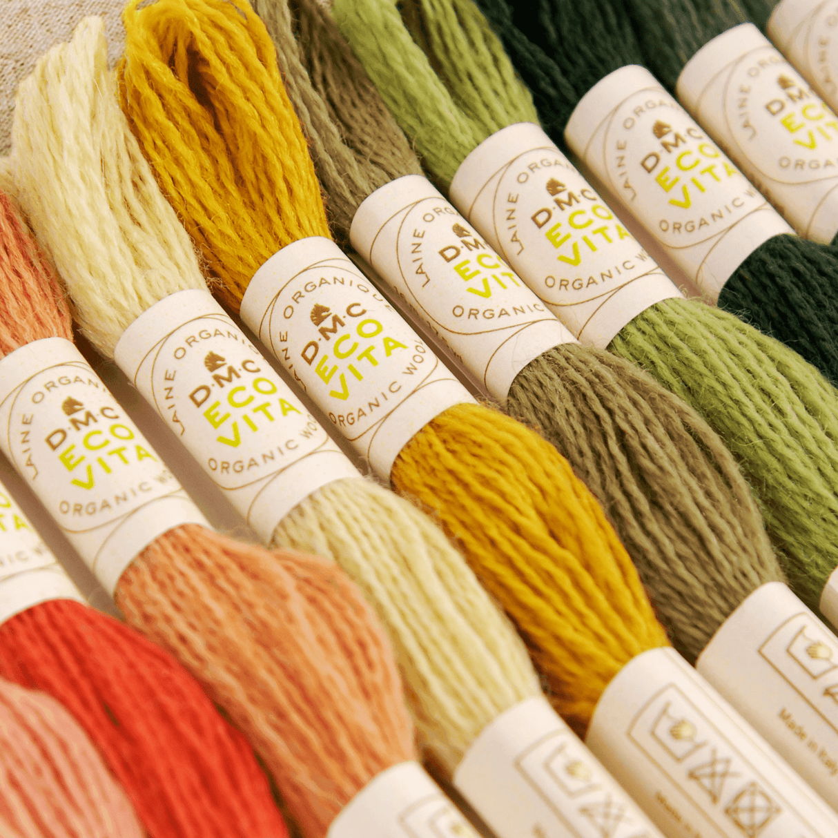 caja-coleccionista4 ok ok