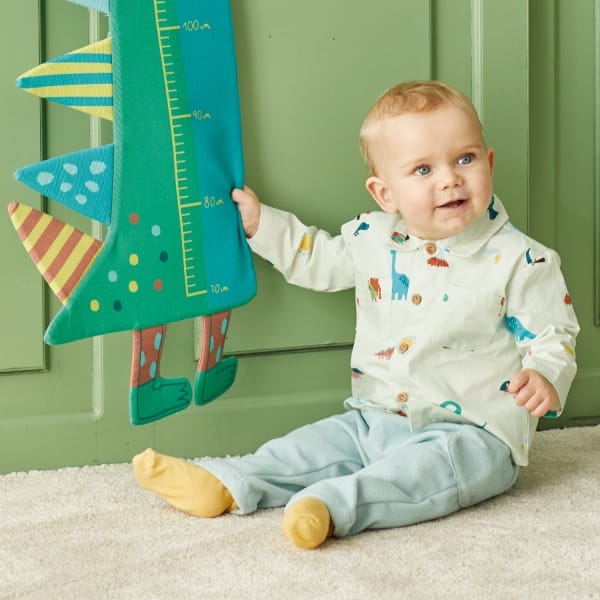 csp4-dinosaur-measurer-3