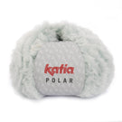 Polar Katia