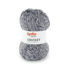 Cricket Katia