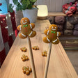ginger ok