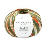 kalevi 203