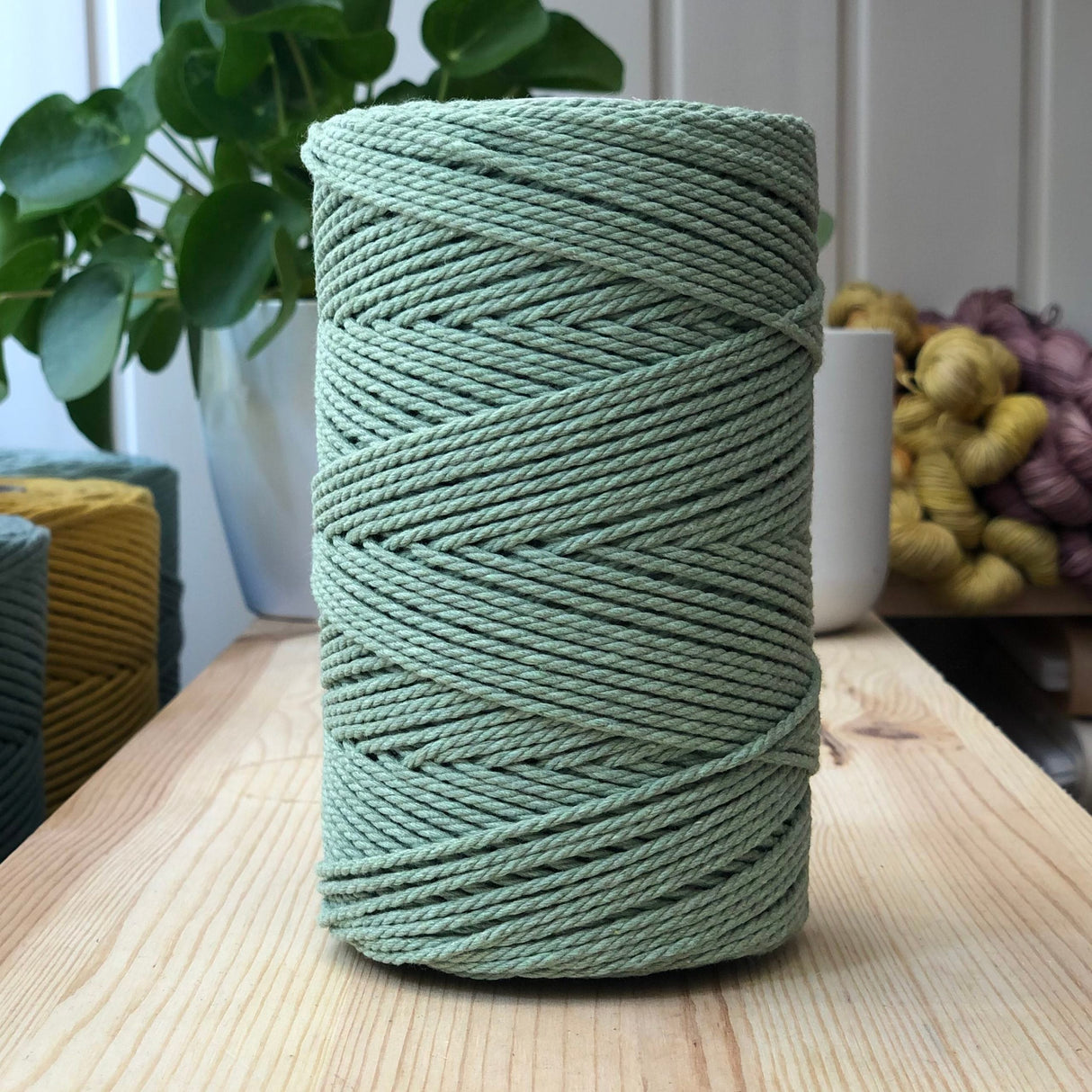 macrame15 cactus