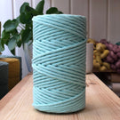 urdimbre mint